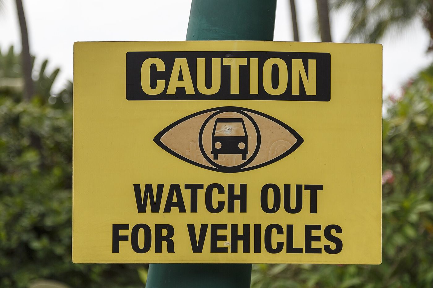 Yellow caution sign reading Watch Out for Vehicles